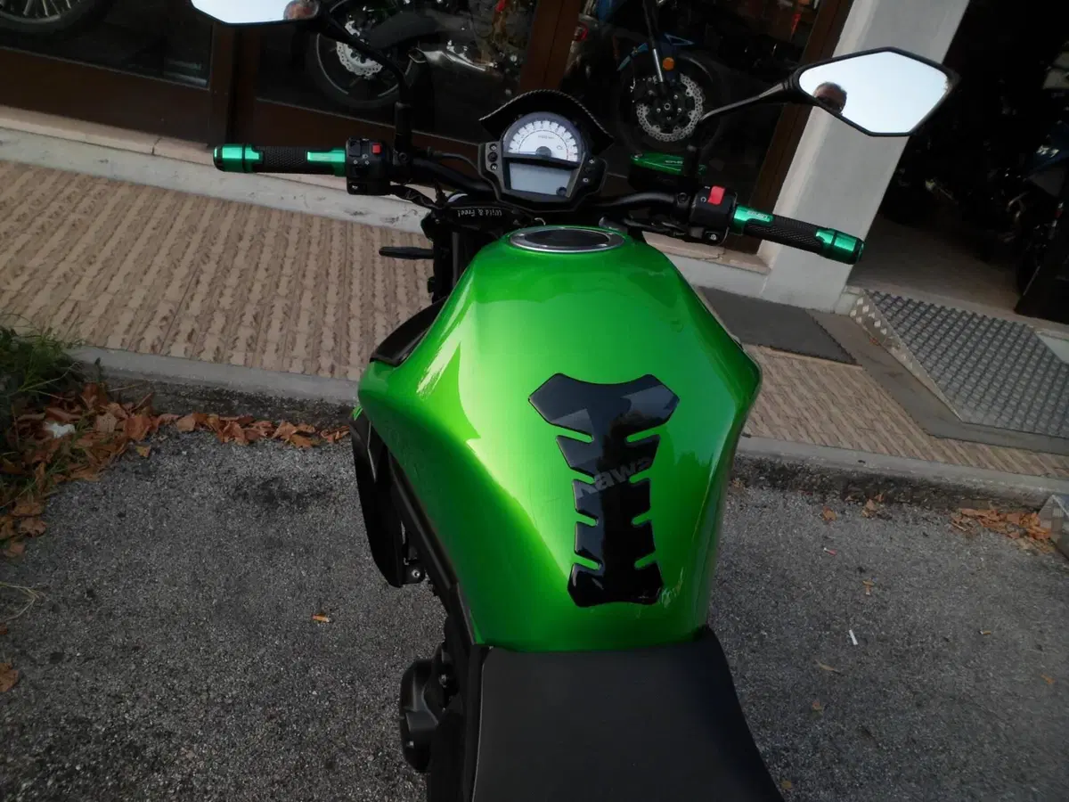 Kawasaki ER-6N (2012 - 13) (16)
