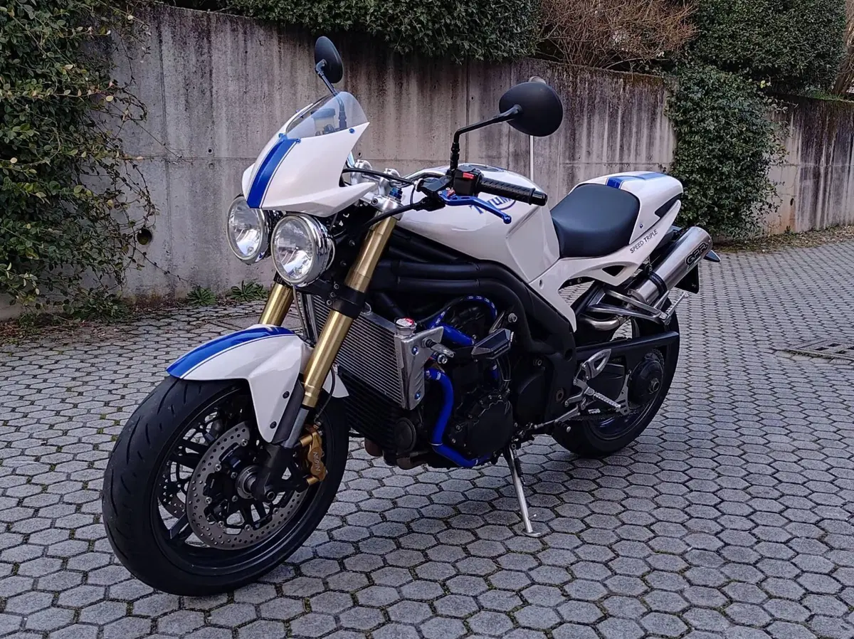 Triumph Speed Triple 1050 (2005 - 11) (2)