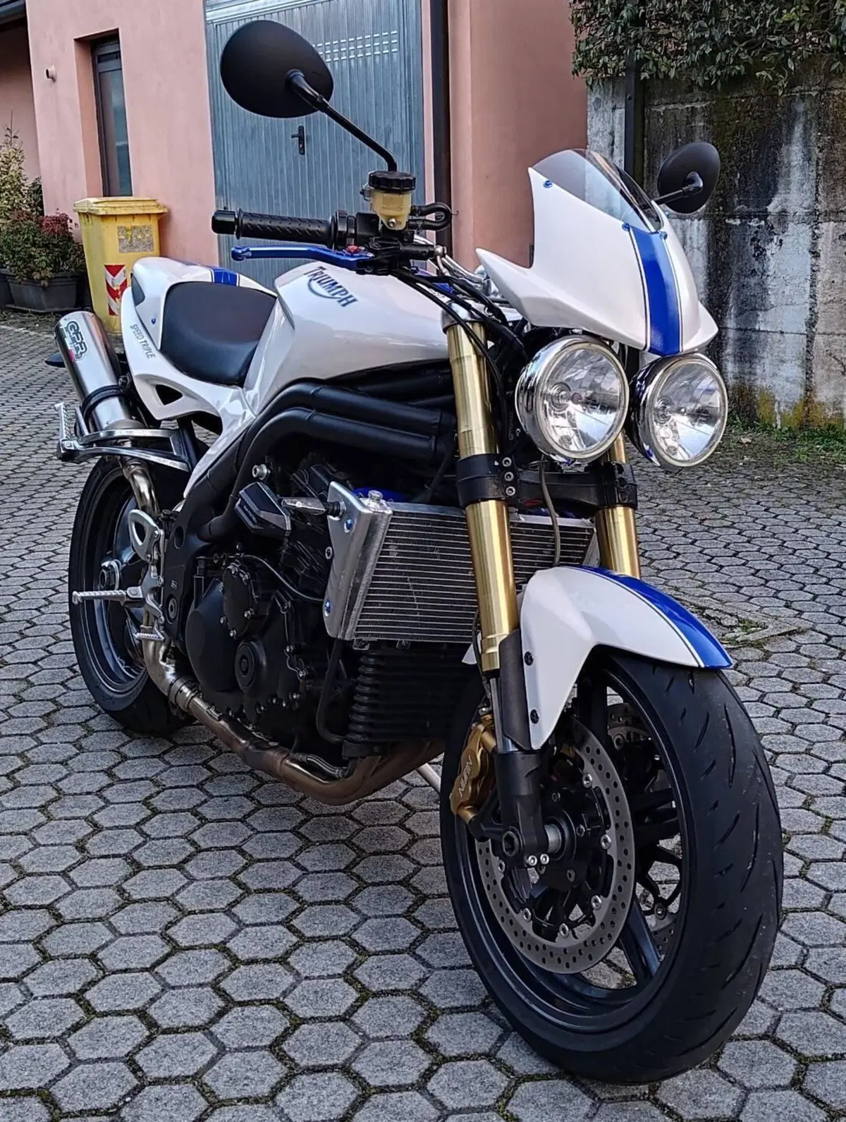 Triumph Speed Triple 1050 (2005 - 11) (3)