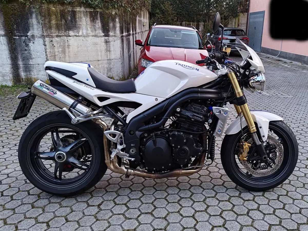 Triumph Speed Triple 1050 (2005 - 11) (4)