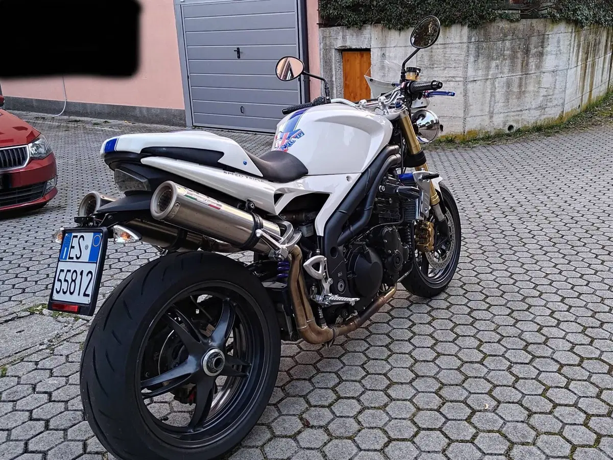 Triumph Speed Triple 1050 (2005 - 11) (5)