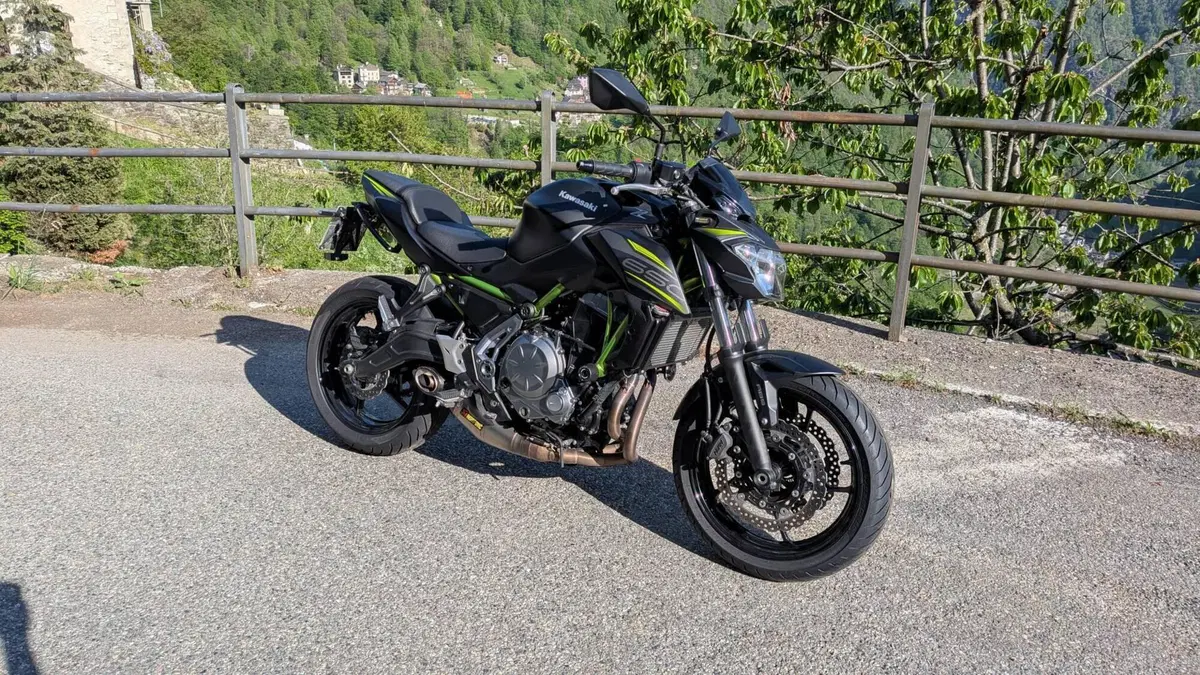Kawasaki Z 650 Performance (2019 - 20)