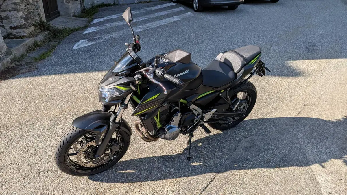 Kawasaki Z 650 Performance (2019 - 20) (2)