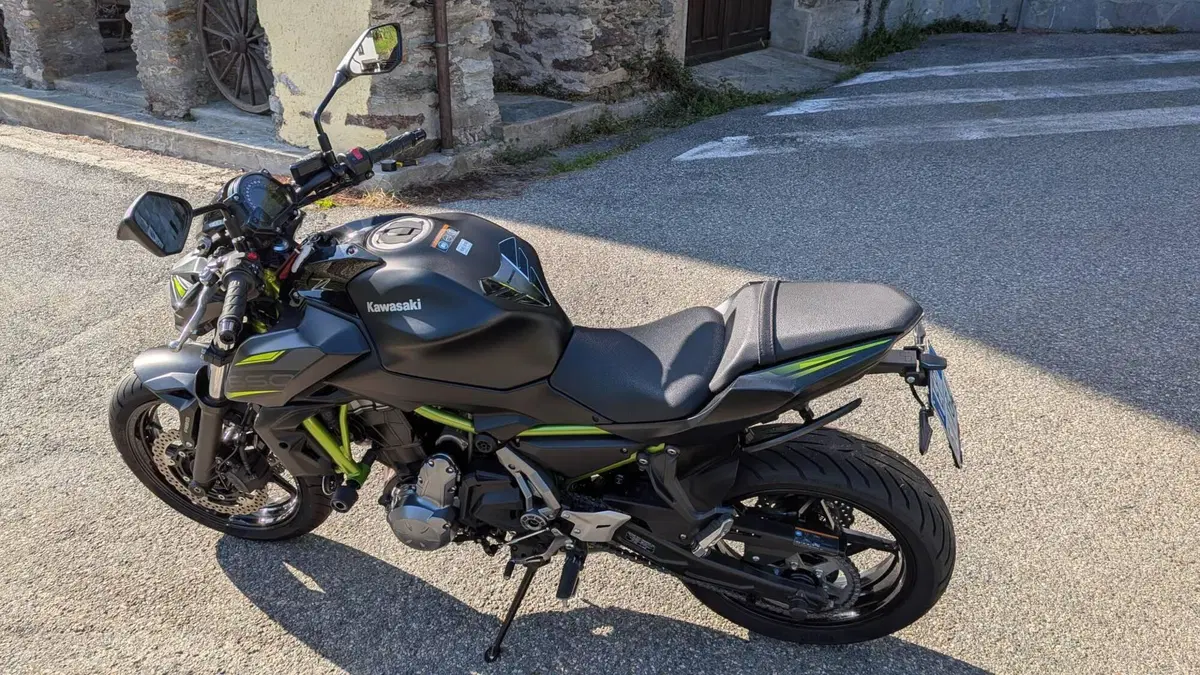 Kawasaki Z 650 Performance (2019 - 20) (3)