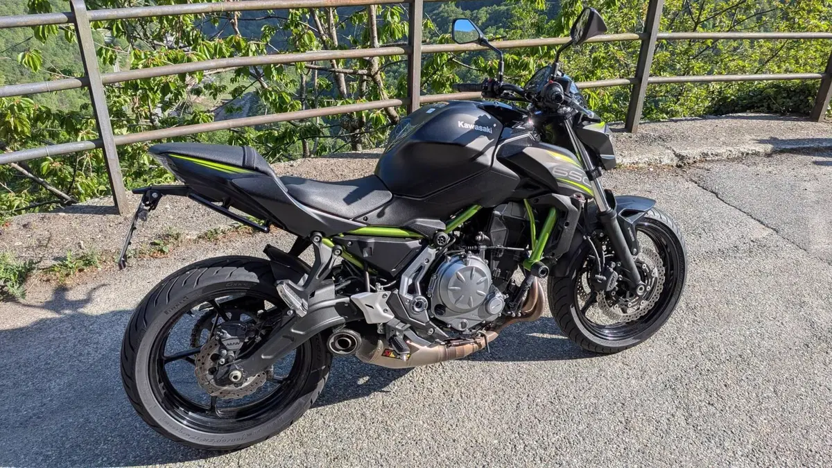 Kawasaki Z 650 Performance (2019 - 20) (4)