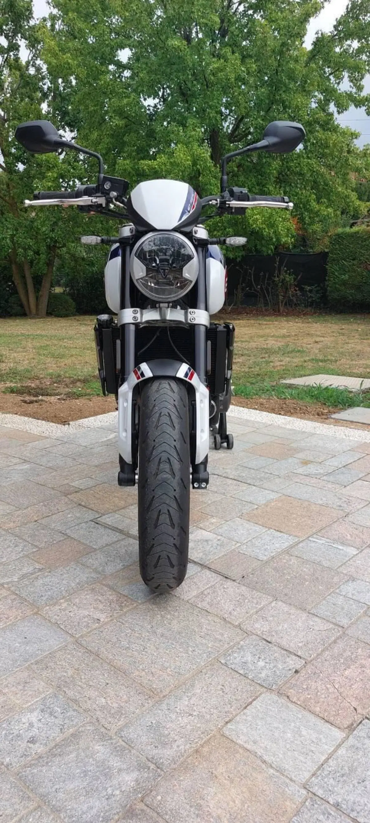 Triumph Trident 660 Triple Tribute Edition (2024) (4)