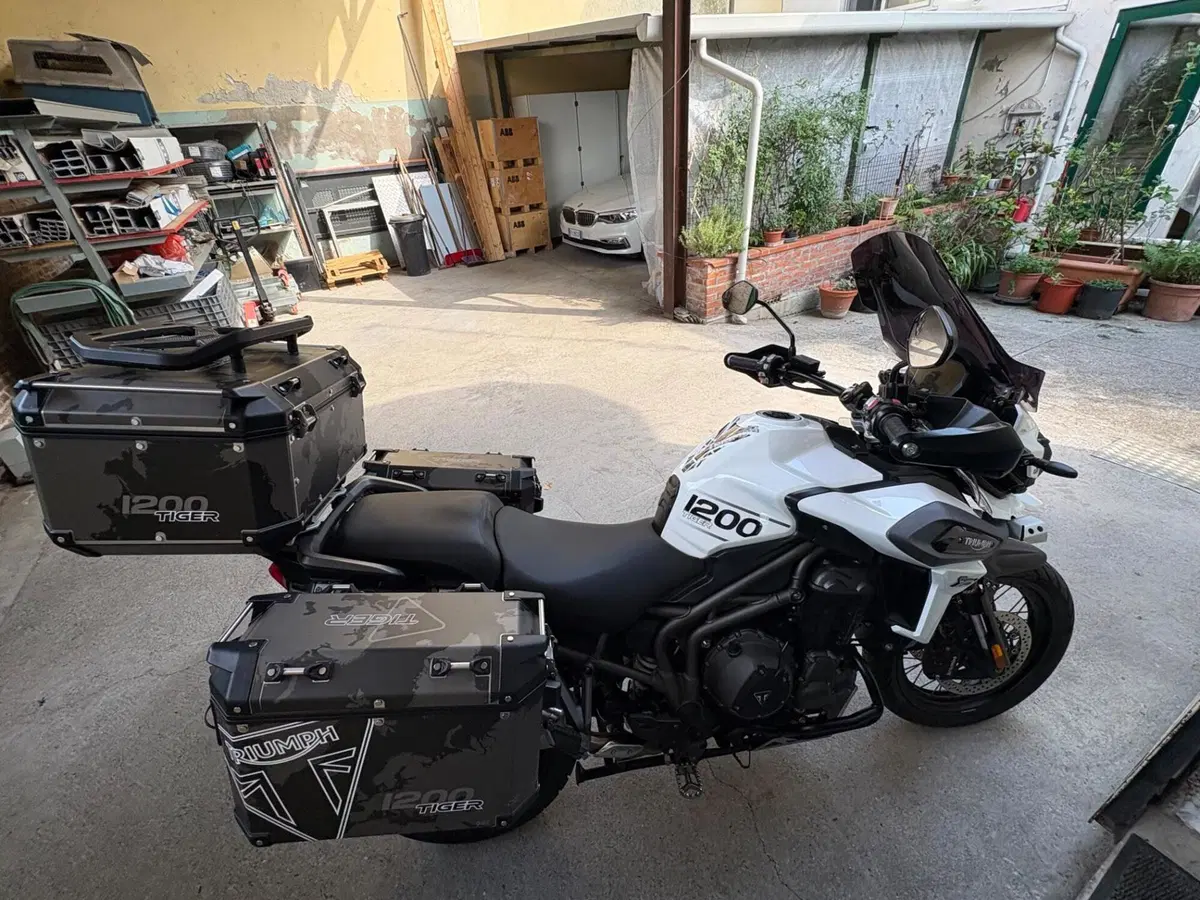 Triumph Tiger 1200 XCa (2018 - 20) (4)