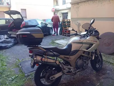 Yamaha TDM 900 (2002 - 14) usata
