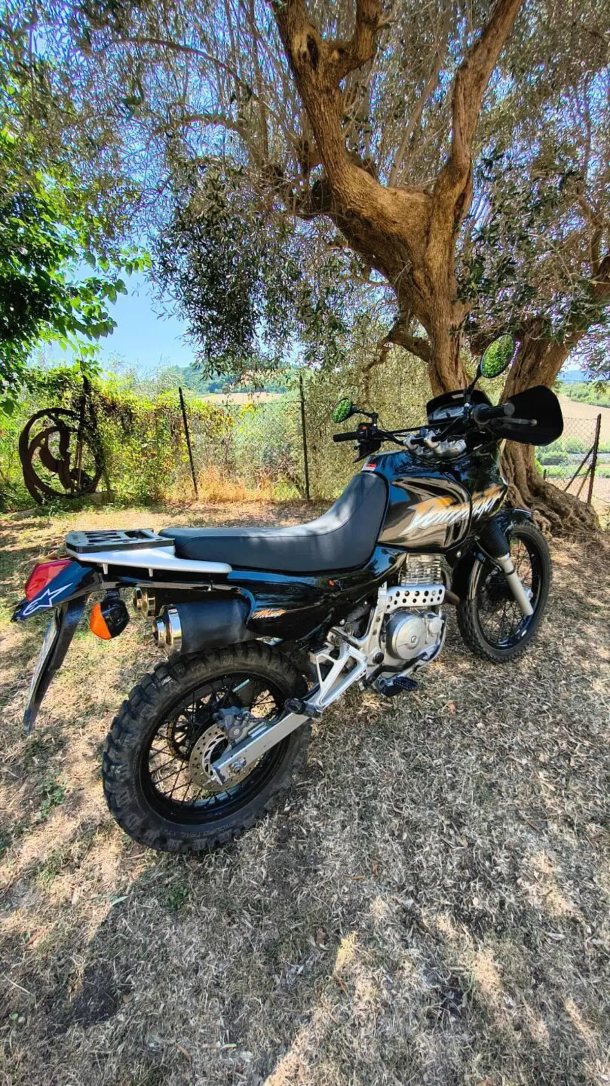 Honda NX 650 Dominator (1996 - 02) (2)
