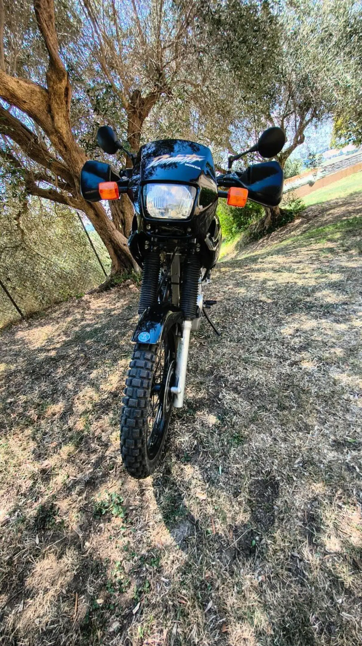 Honda NX 650 Dominator (1996 - 02) (4)