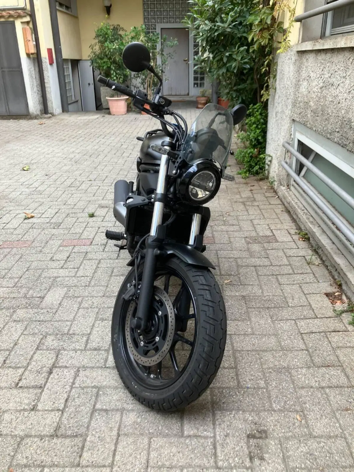 Kawasaki Eliminator 500 (2024 - 26)