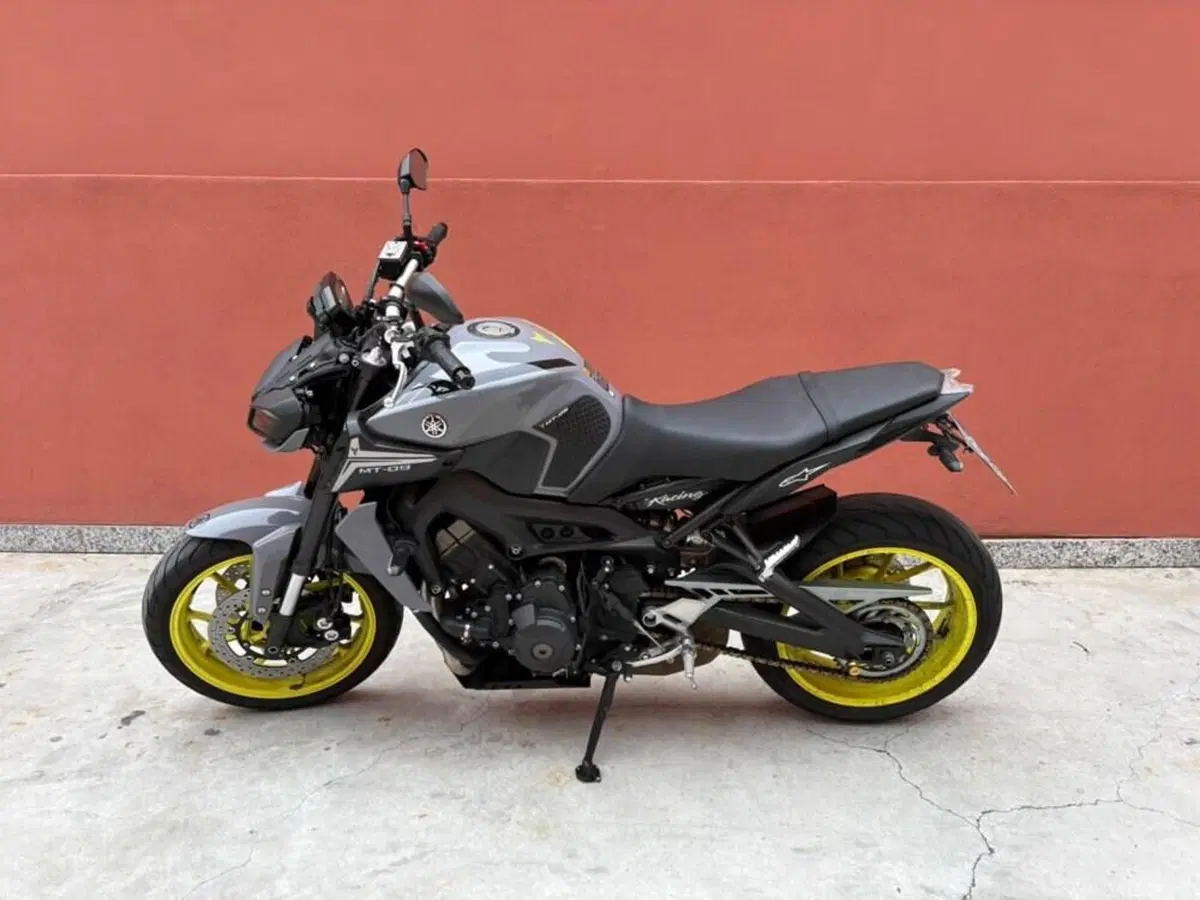 Yamaha MT-09 (2017 - 20) (7)