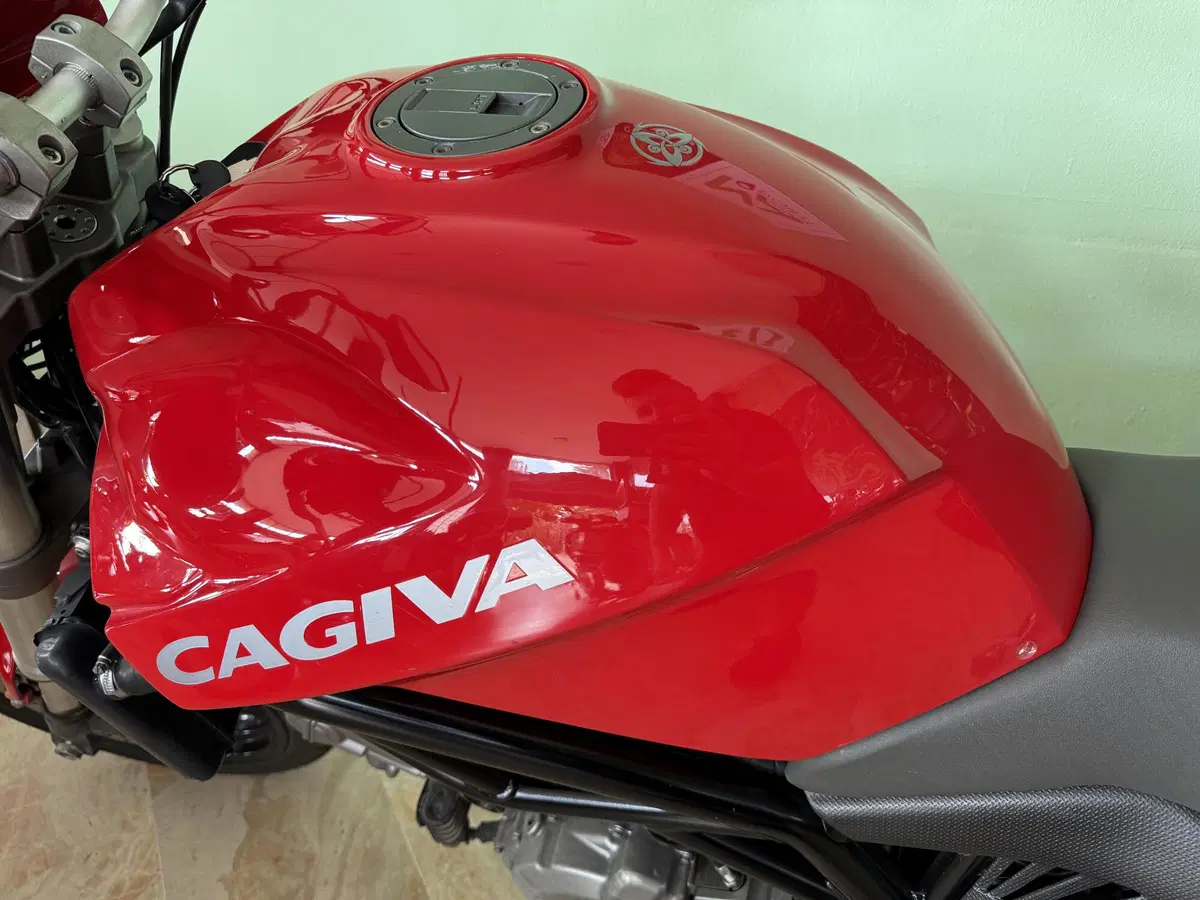 Cagiva Raptor 650 (2005 - 07) (6)