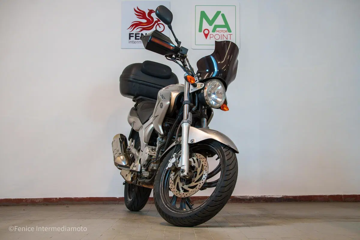 Yamaha YBR 250 (2006 - 13) (2)