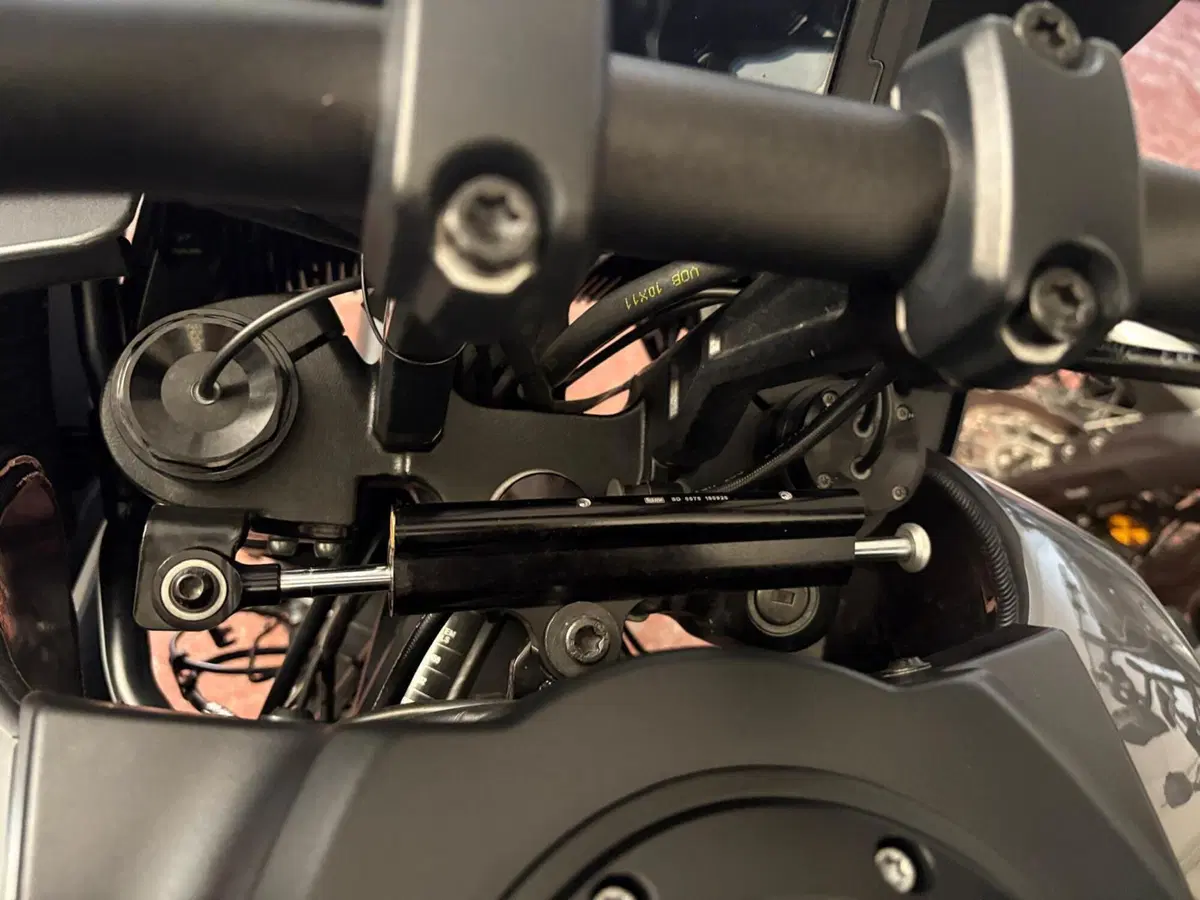 Harley-Davidson Pan America 1250 Special (2020 - 25) (12)