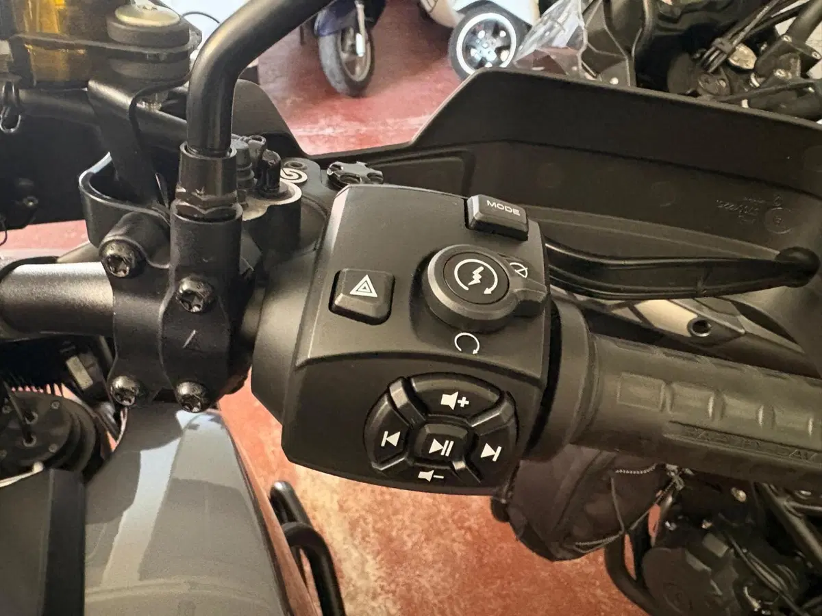Harley-Davidson Pan America 1250 Special (2020 - 25) (13)