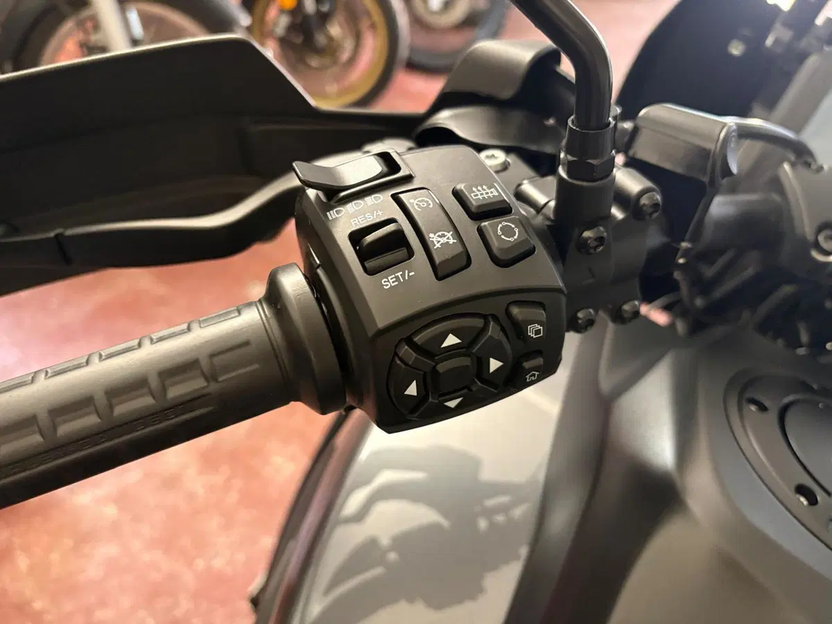 Harley-Davidson Pan America 1250 Special (2020 - 25) (14)