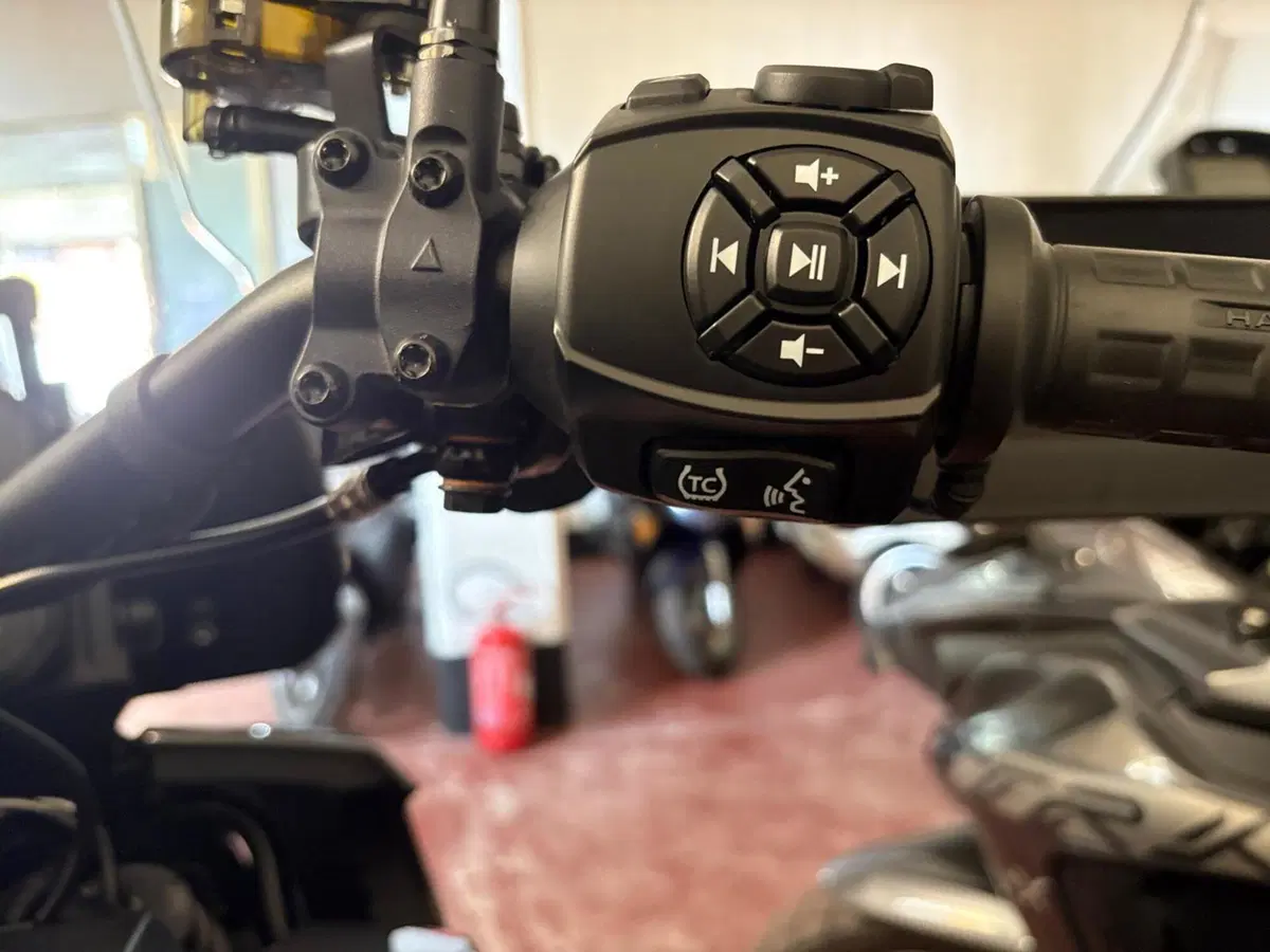 Harley-Davidson Pan America 1250 Special (2020 - 25) (16)