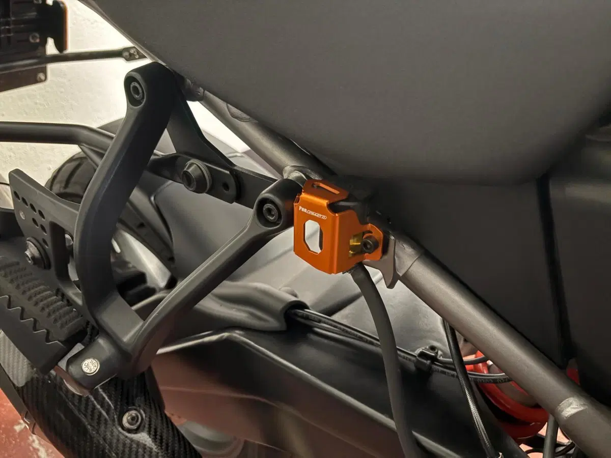 Harley-Davidson Pan America 1250 Special (2020 - 25) (17)