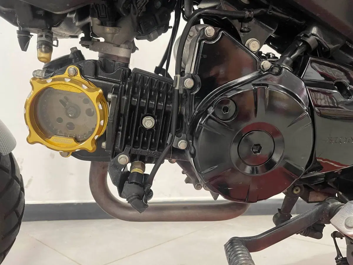 Honda MSX 125 (2016 - 17) (5)