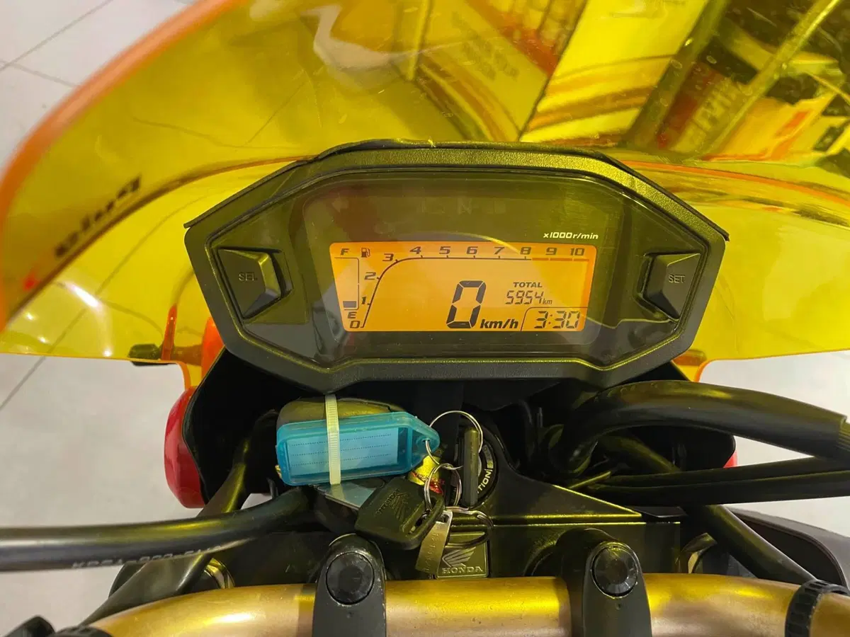 Honda MSX 125 (2016 - 17) (6)