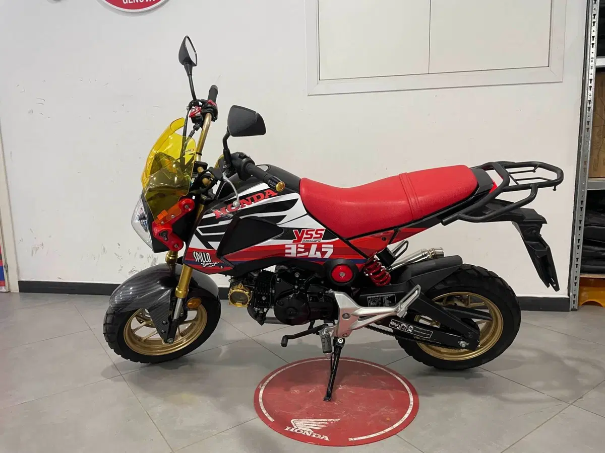 Honda MSX 125 (2016 - 17) (2)