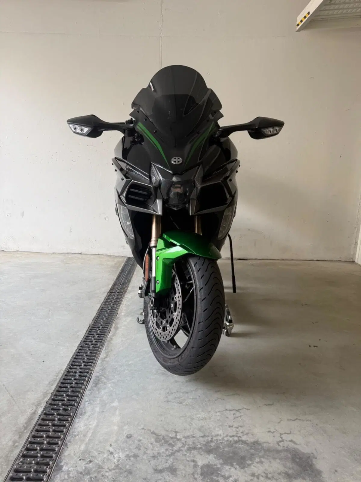 Kawasaki Ninja H2 SX SE (2018 - 20) (2)