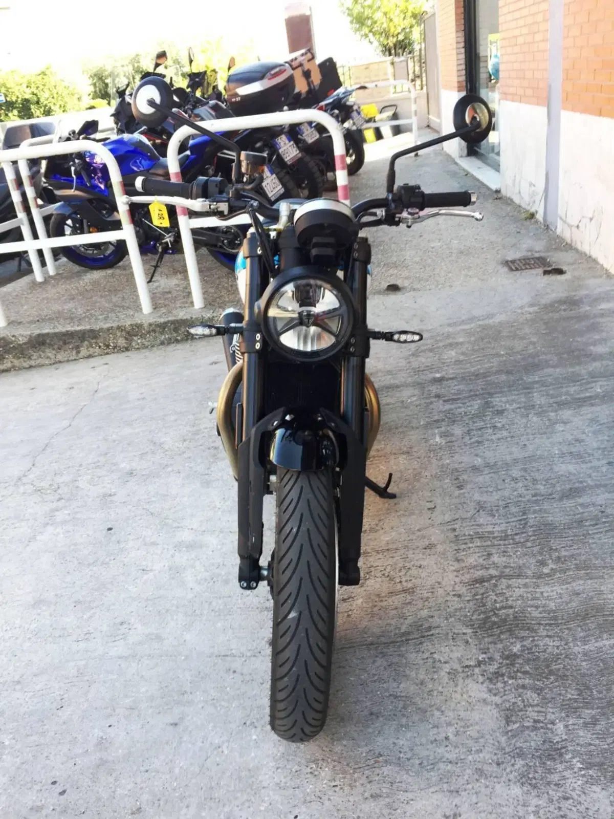 Triumph Speed Twin 900 (2025 - 26) (3)