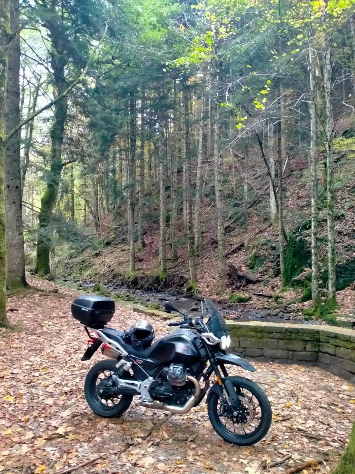 Moto Guzzi V85 Strada (2024 - 26) (2)