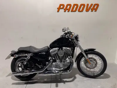 Harley-Davidson 883 Low (2006 - 07) - XL 883L usata