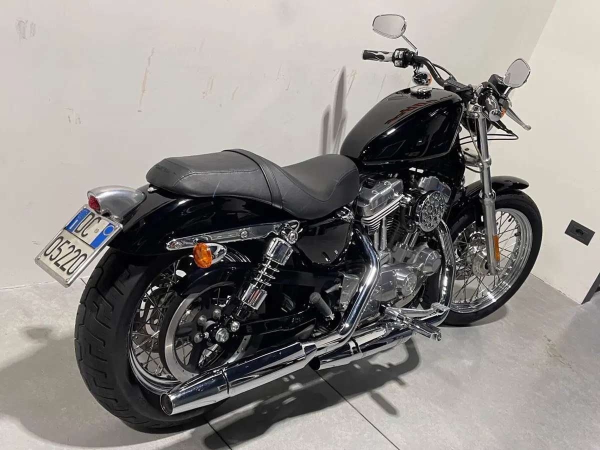 Harley-Davidson 883 Low (2006 - 07) - XL 883L (3)
