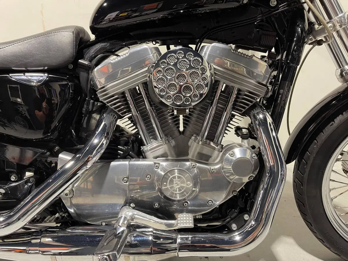 Harley-Davidson 883 Low (2006 - 07) - XL 883L (4)