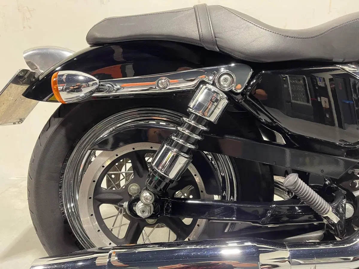 Harley-Davidson 883 Low (2006 - 07) - XL 883L (5)