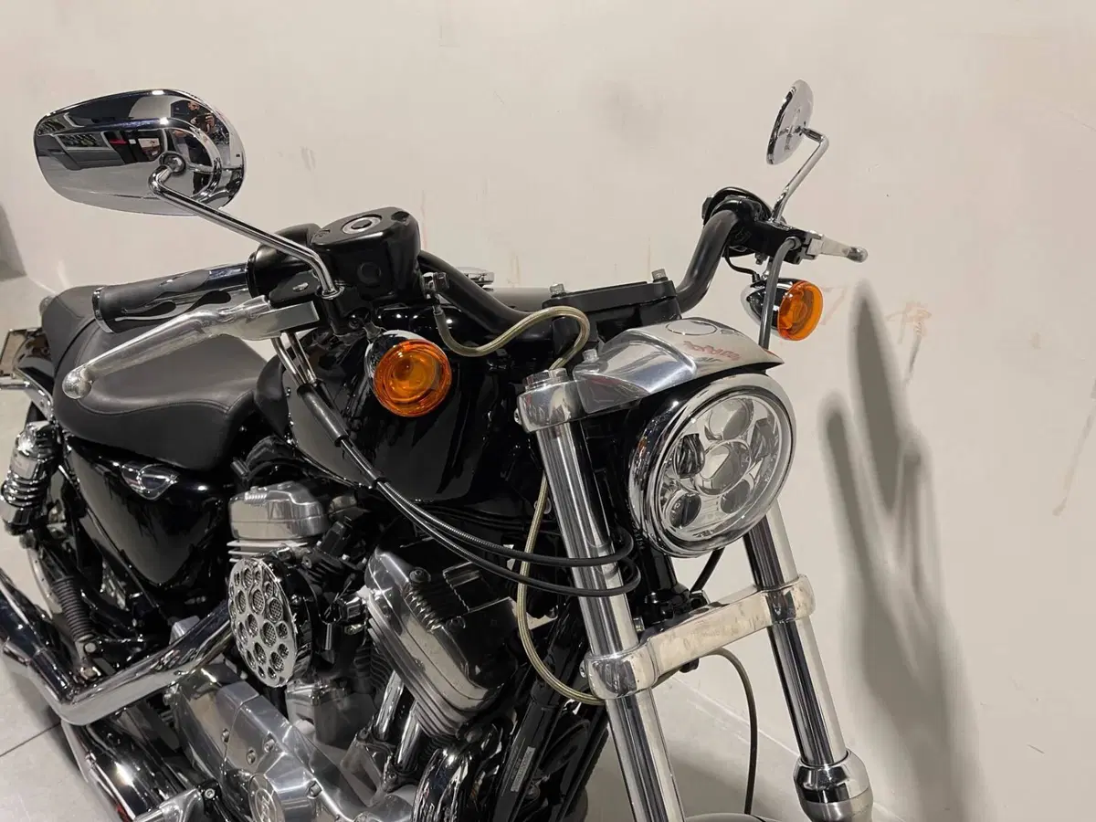 Harley-Davidson 883 Low (2006 - 07) - XL 883L (8)