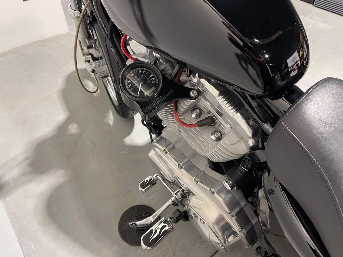 Harley-Davidson 883 Low (2006 - 07) - XL 883L (9)