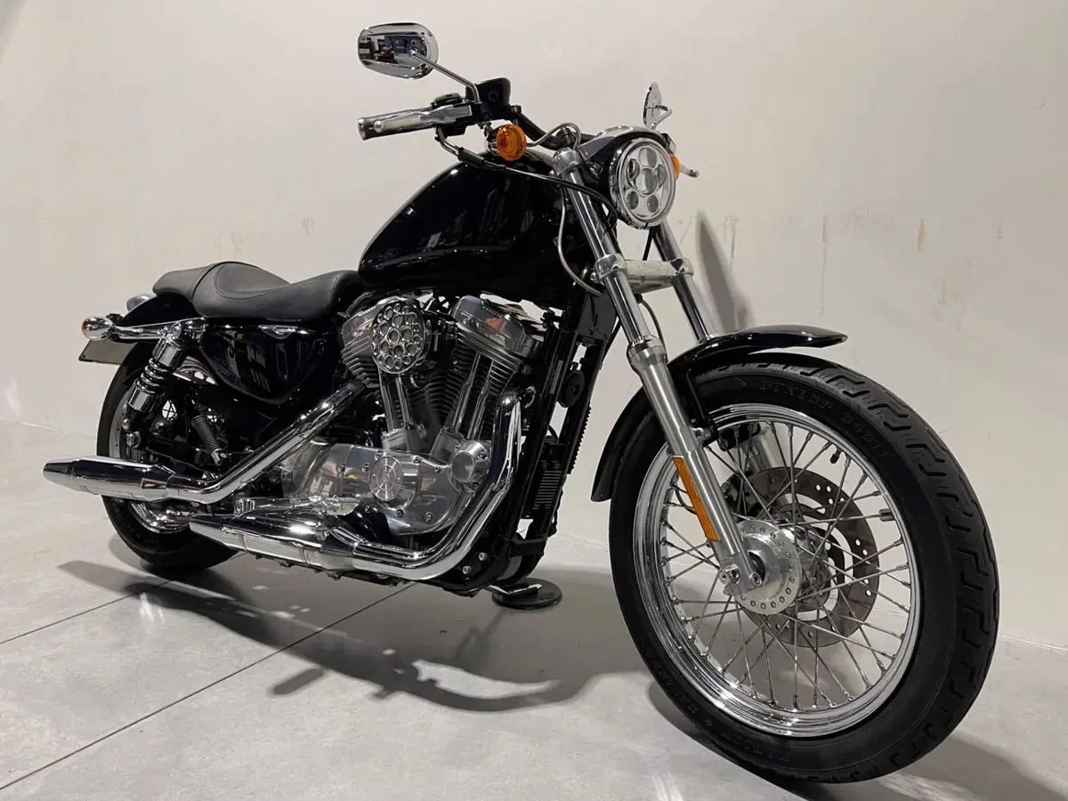 Harley-Davidson 883 Low (2006 - 07) - XL 883L (11)