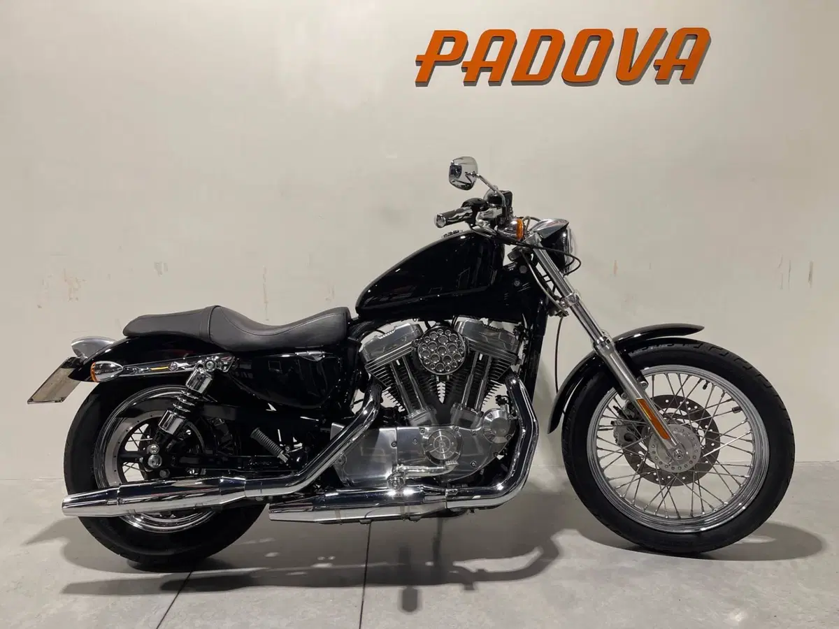 Harley-Davidson 883 Low (2006 - 07) - XL 883L (12)