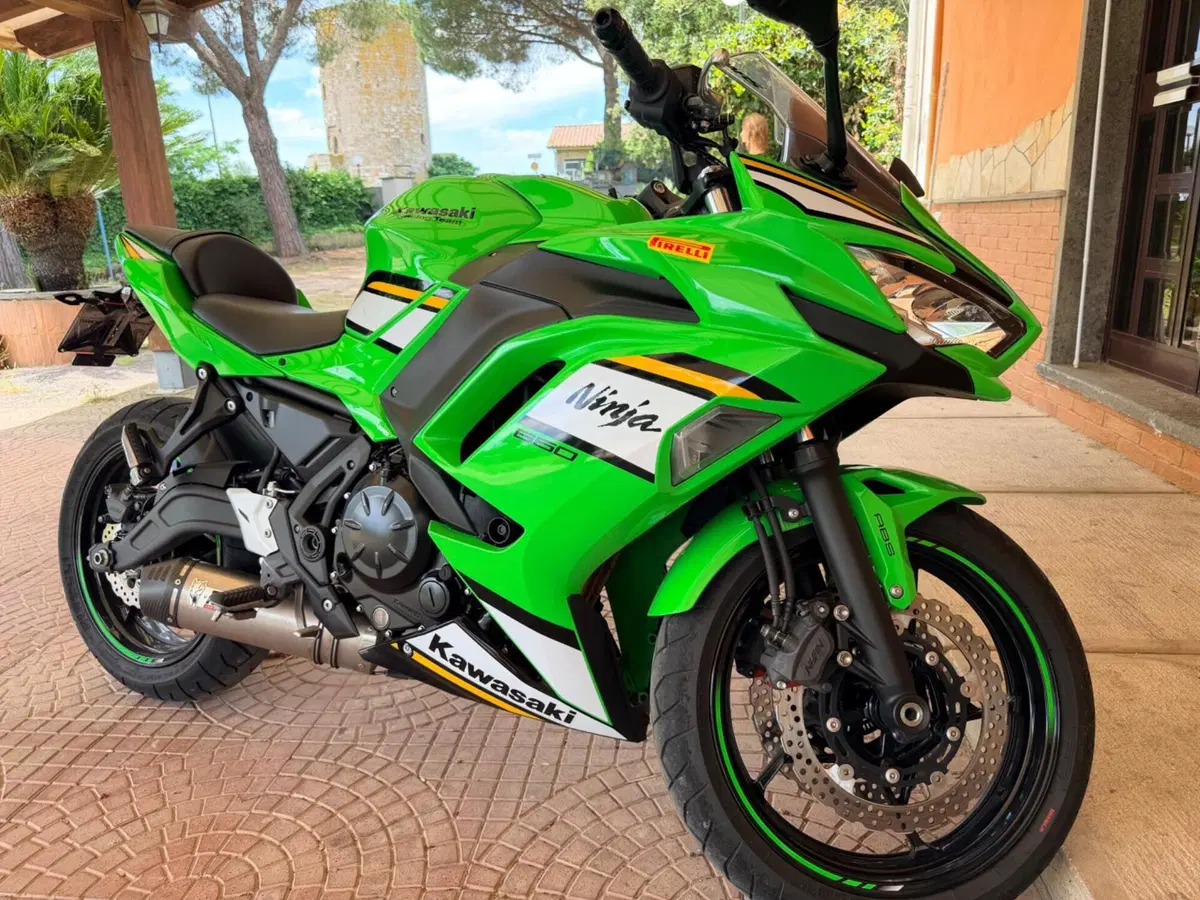 Kawasaki Ninja 650 (2025 - 26) (3)
