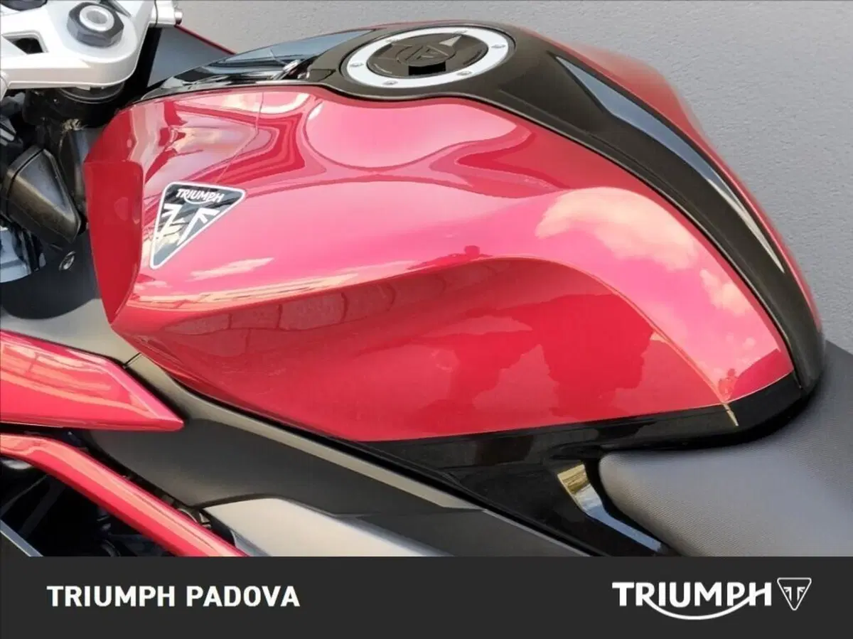 Triumph Daytona 660 (2024 - 26) (9)