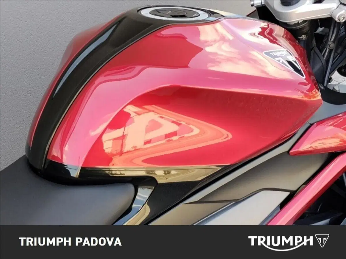 Triumph Daytona 660 (2024 - 26) (4)