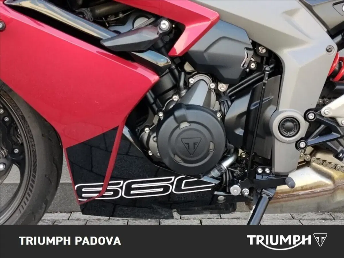 Triumph Daytona 660 (2024 - 26) (8)