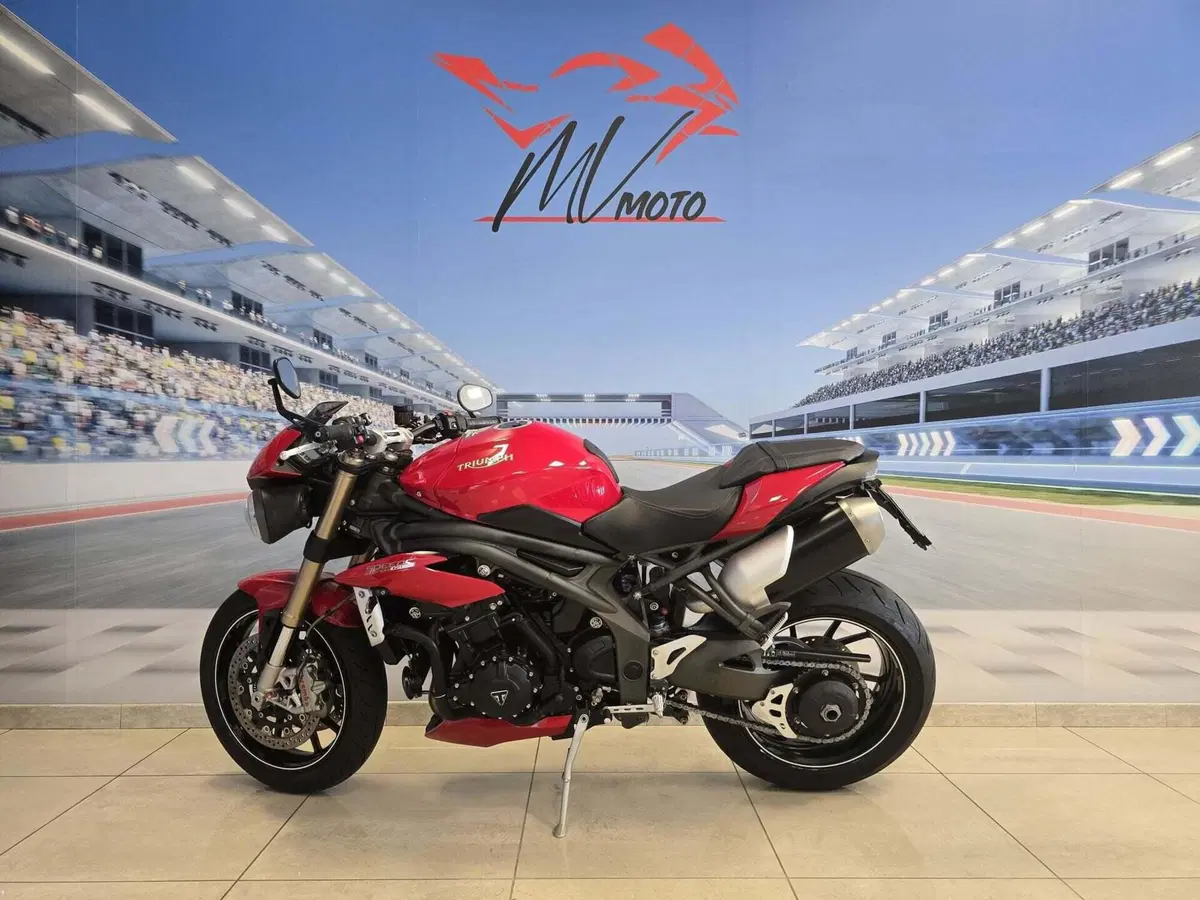 Triumph Speed Triple 1050 S ABS (2016 - 17) (4)