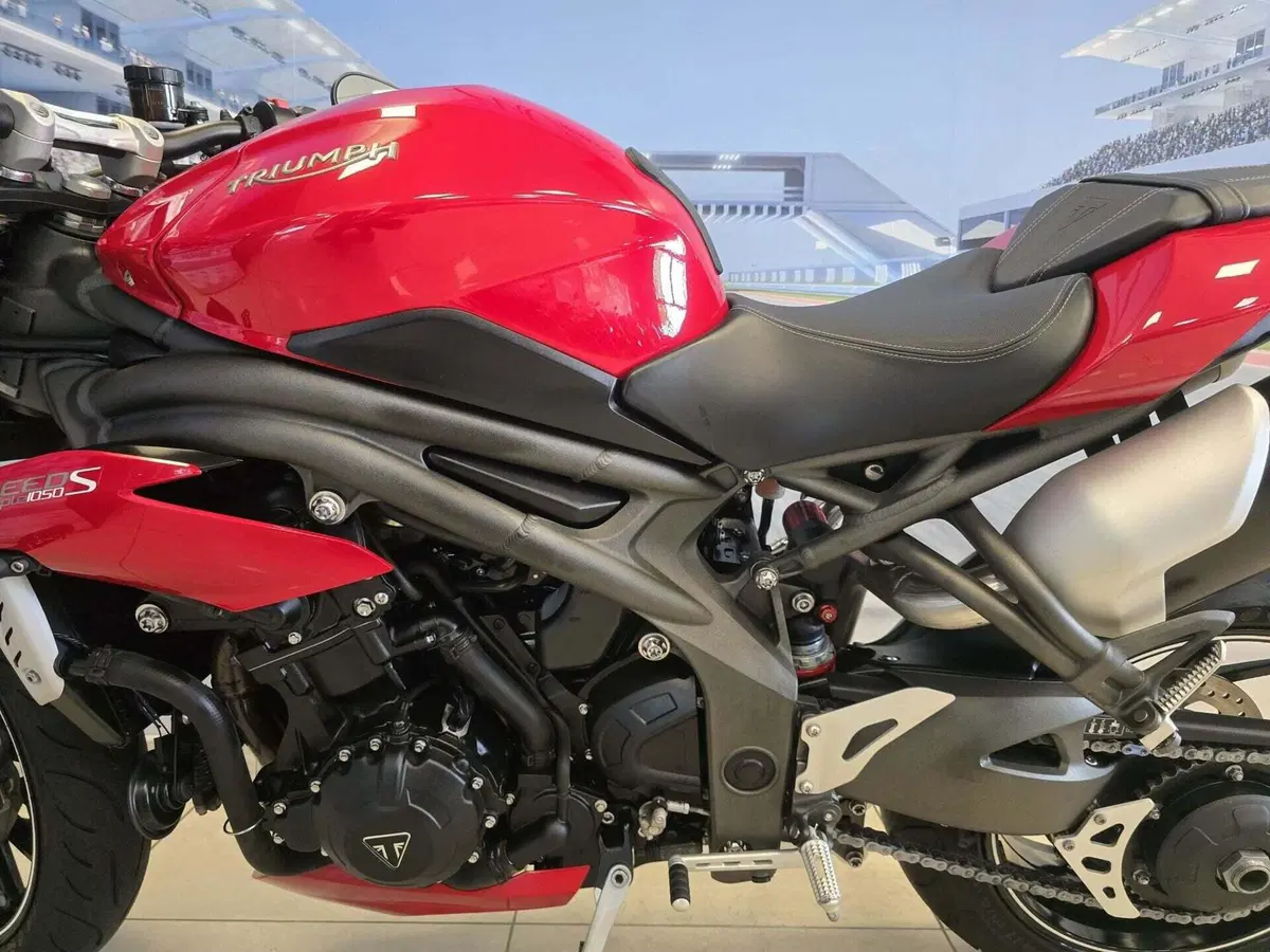 Triumph Speed Triple 1050 S ABS (2016 - 17) (8)