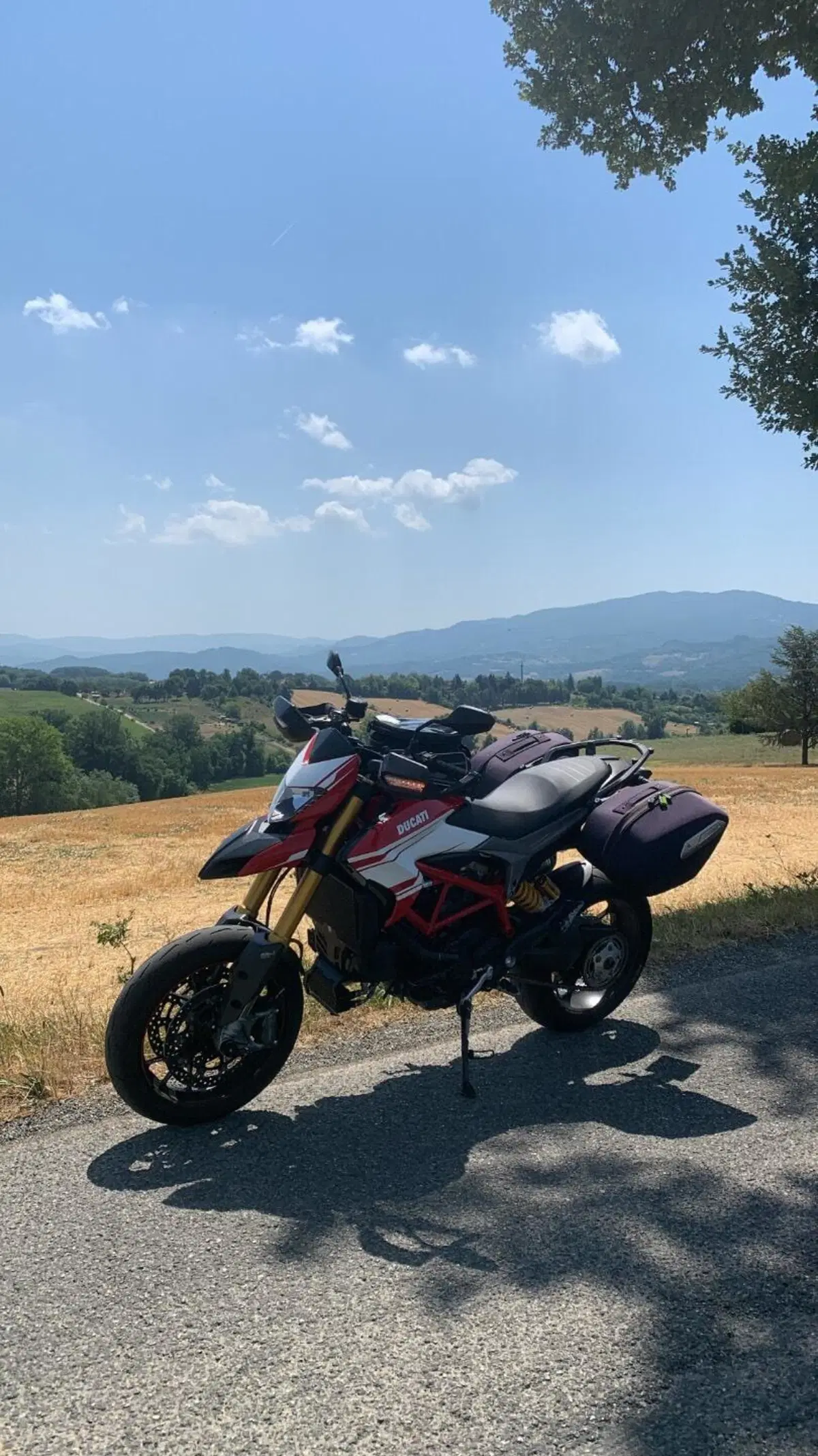 Ducati Hypermotard 939 SP (2016 - 18) (8)