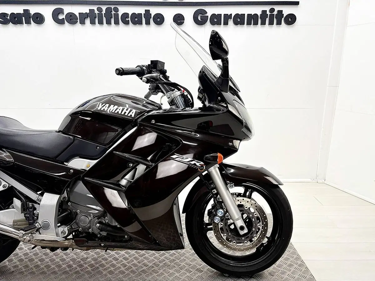 Yamaha FJR 1300 (2001 - 03) (10)