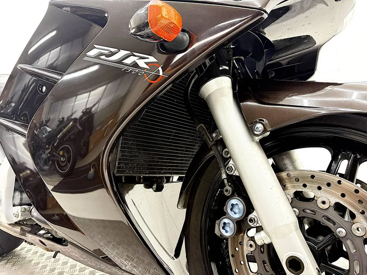 Yamaha FJR 1300 (2001 - 03) (12)