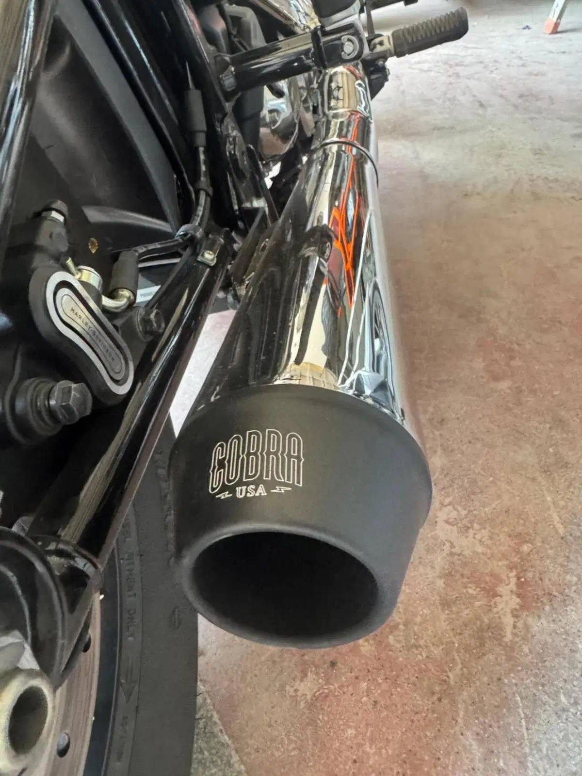 Harley-Davidson Street Bob 117 (2025 - 26) (5)