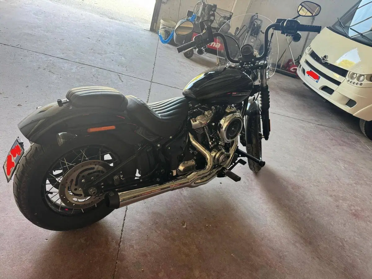 Harley-Davidson Street Bob 117 (2025 - 26) (7)