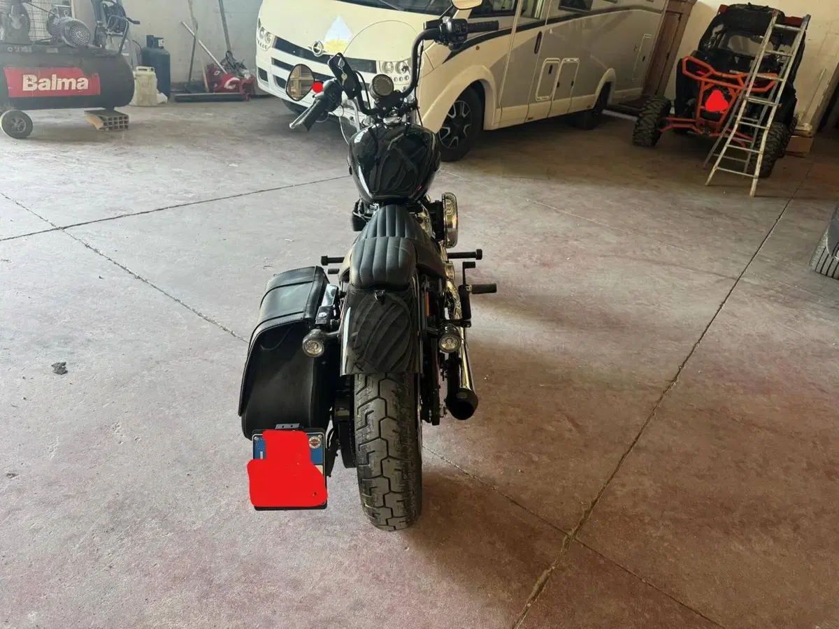 Harley-Davidson Street Bob 117 (2025 - 26) (8)