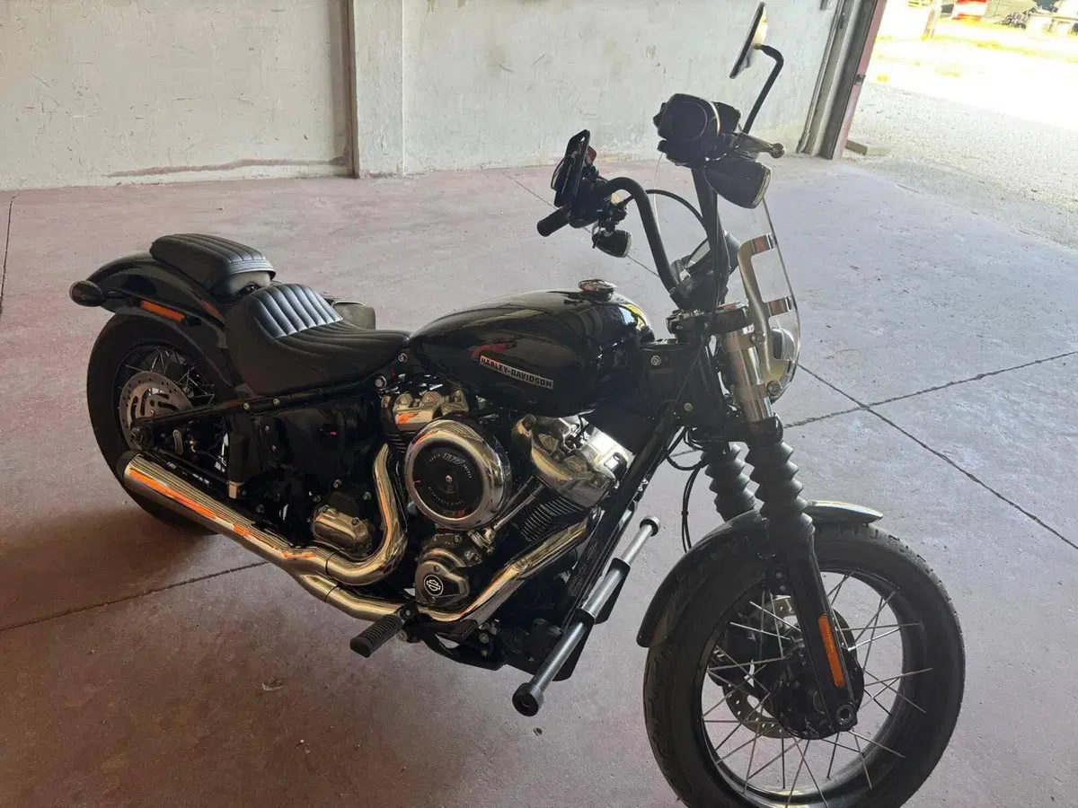 Harley-Davidson Street Bob 117 (2025 - 26) (9)